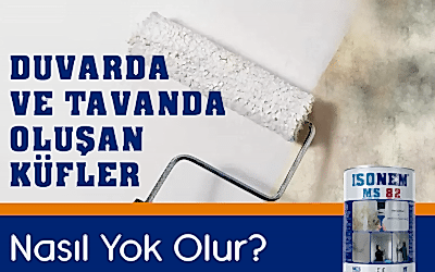 Duvar ve tavanda oluşan küfler için kesin çözüm!